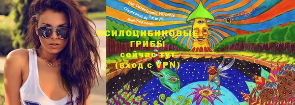 круглые Алзамай